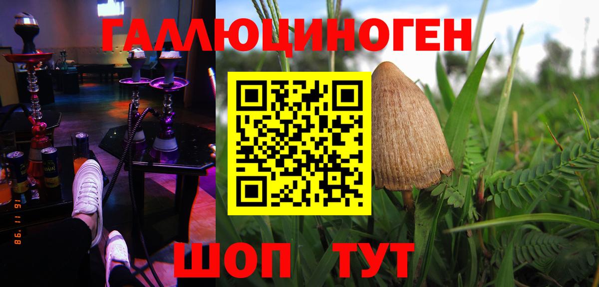Владикавказ  Псилоцибиновые грибы прущие грибы  Вход с VPN 